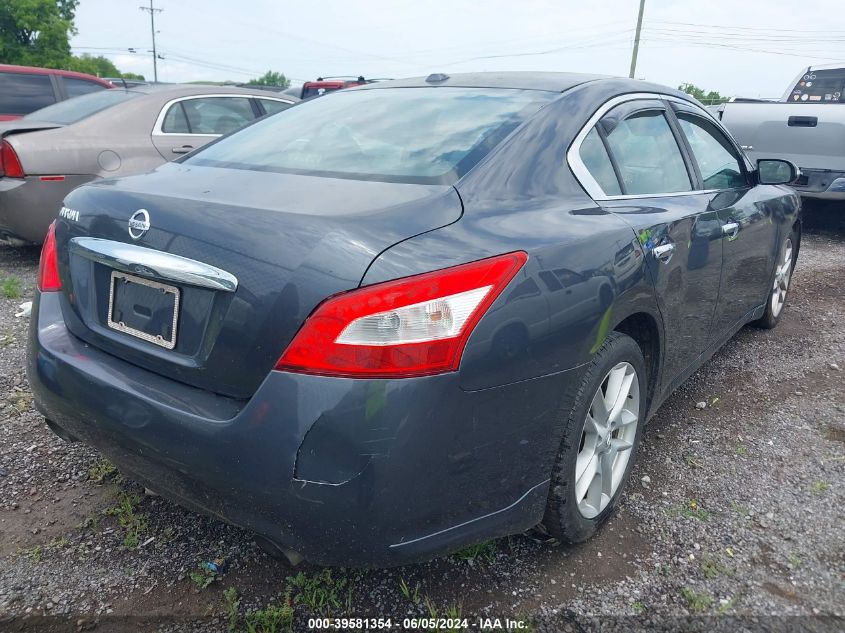 2010 Nissan Maxima 3.5 Sv VIN: 1N4AA5AP6AC832913 Lot: 39581354