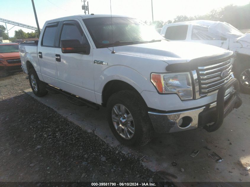 2010 Ford F-150 Fx4/Harley-Davidson/King Ranch/Lariat/Platinum/Xl/Xlt VIN: 1FTFW1EV9AFD22573 Lot: 39581790