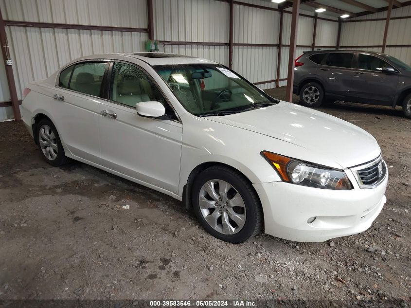 5KBCP36819B003142 | 2009 HONDA ACCORD