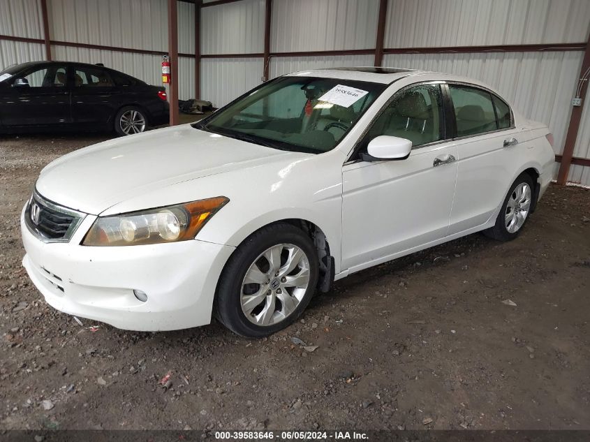 5KBCP36819B003142 | 2009 HONDA ACCORD