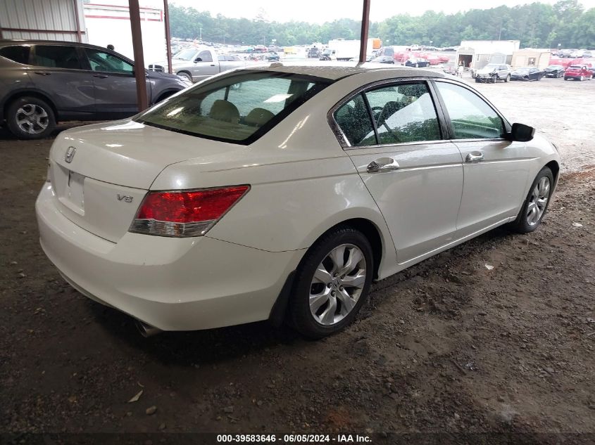 5KBCP36819B003142 | 2009 HONDA ACCORD