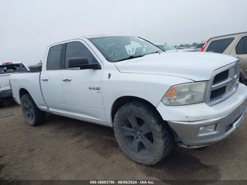 2010 Dodge Ram 1500 Slt/Sport/Trx VIN: 1D7RB1GP4AS162803 Lot: 39583758