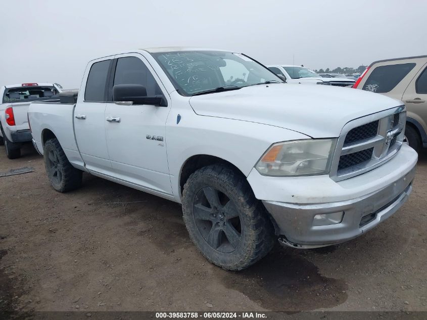 2010 Dodge Ram 1500 Slt/Sport/Trx VIN: 1D7RB1GP4AS162803 Lot: 39583758