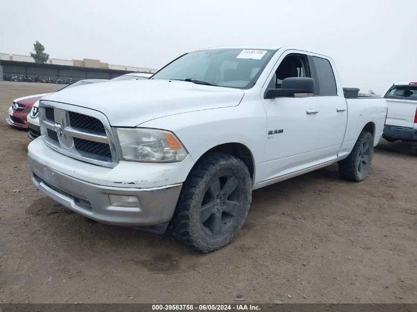 2010 Dodge Ram 1500 Slt/Sport/Trx VIN: 1D7RB1GP4AS162803 Lot: 39583758