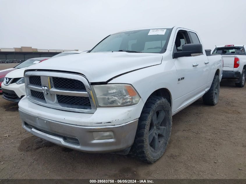 2010 Dodge Ram 1500 Slt/Sport/Trx VIN: 1D7RB1GP4AS162803 Lot: 39583758