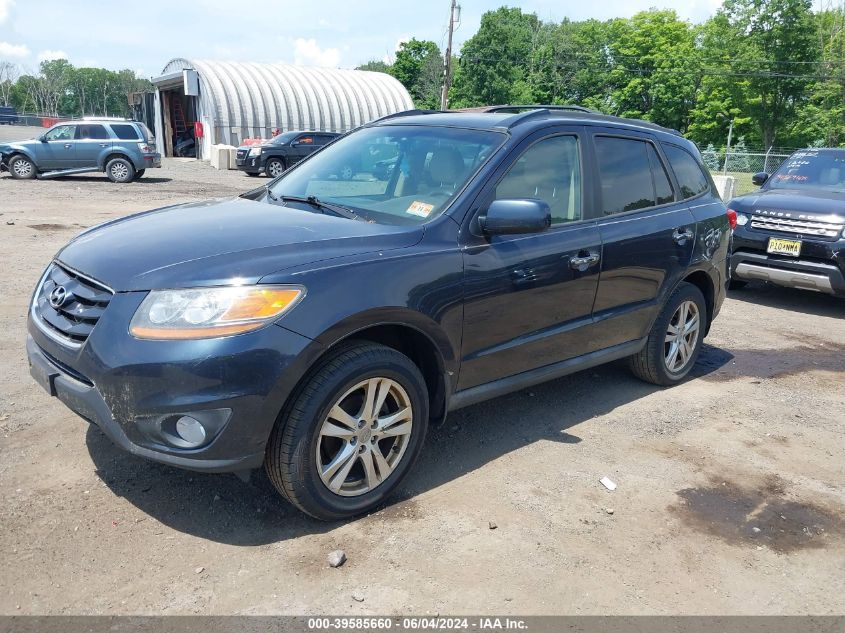 2011 Hyundai Santa Fe Limited V6 VIN: 5XYZKDAG3BG007204 Lot: 39585660