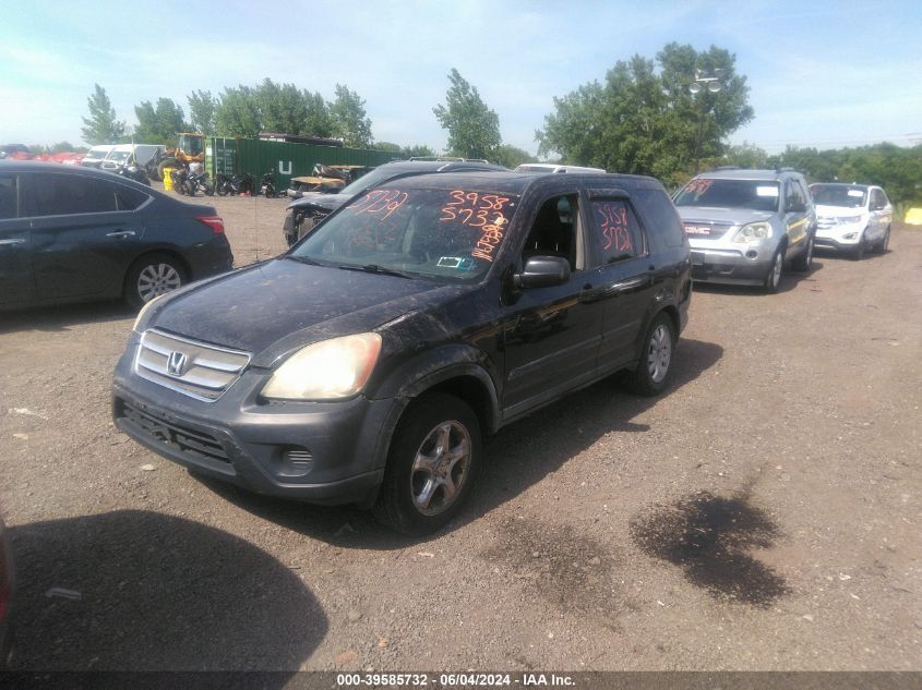 2005 Honda Cr-V Ex VIN: JHLRD78805C006856 Lot: 39585732