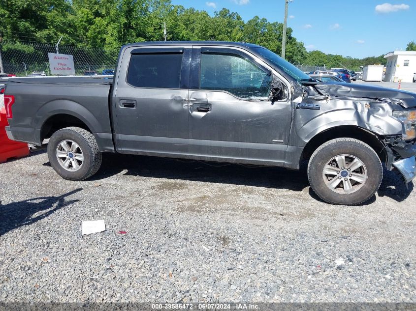 2016 Ford F-150 Xlt VIN: 1FTEW1EP0GKE98568 Lot: 39586472