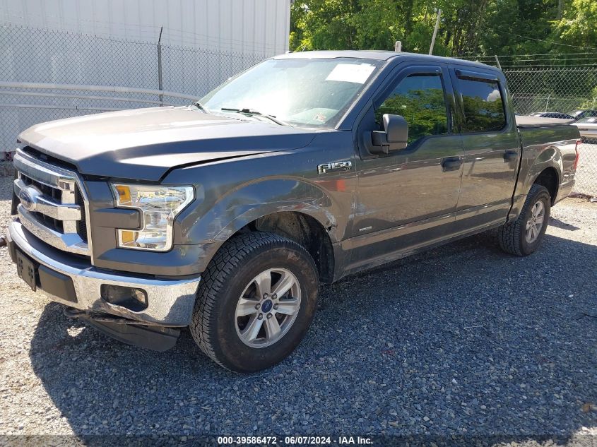 2016 Ford F-150 Xlt VIN: 1FTEW1EP0GKE98568 Lot: 39586472