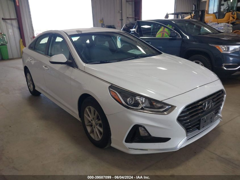 2019 Hyundai Sonata Eco VIN: 5NPE24AA0KH774916 Lot: 39587099