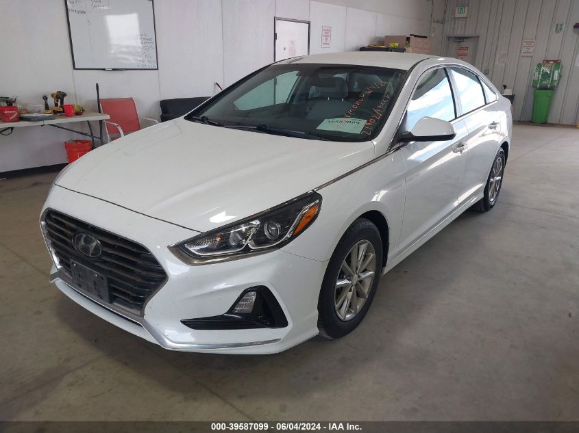 2019 Hyundai Sonata Eco VIN: 5NPE24AA0KH774916 Lot: 39587099