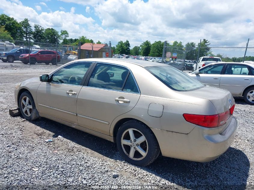 1HGCM56795A003226 | 2005 HONDA ACCORD