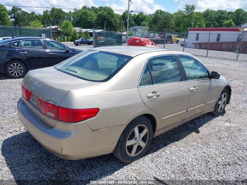 1HGCM56795A003226 | 2005 HONDA ACCORD