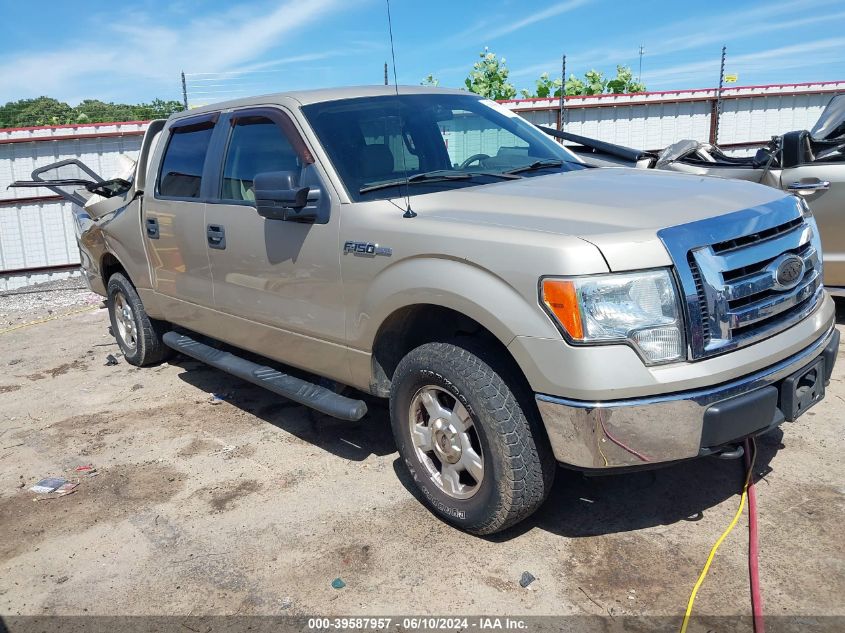 2010 Ford F-150 Fx4/Harley-Davidson/King Ranch/Lariat/Platinum/Xl/Xlt VIN: 1FTFW1EVXAFB83053 Lot: 39587957