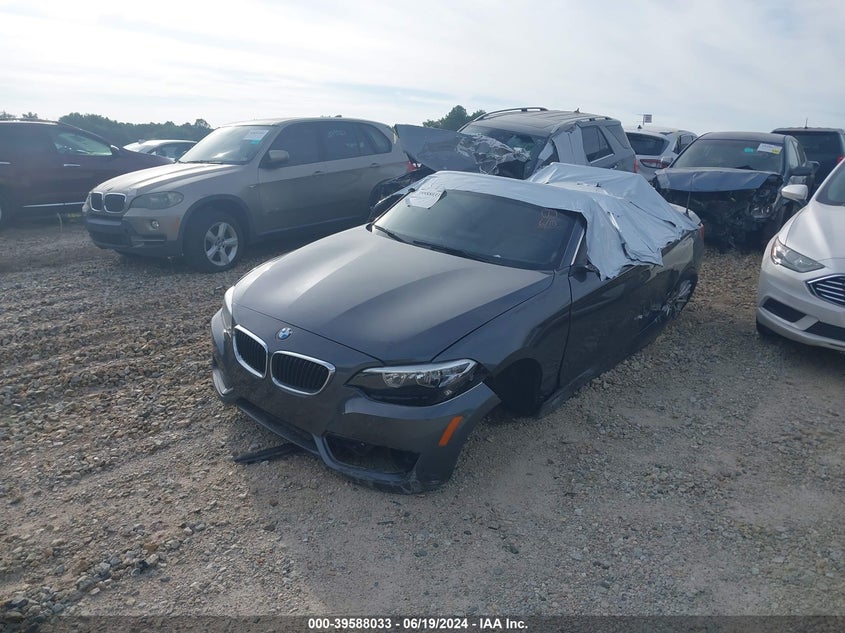 2015 BMW 228I VIN: WBA1K5C51FV474115 Lot: 39588033