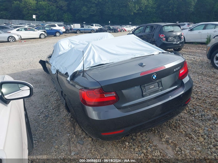 2015 BMW 228I VIN: WBA1K5C51FV474115 Lot: 39588033
