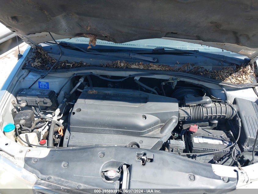 2003 Honda Odyssey Lx VIN: 5FNRL18563B092600 Lot: 39589391