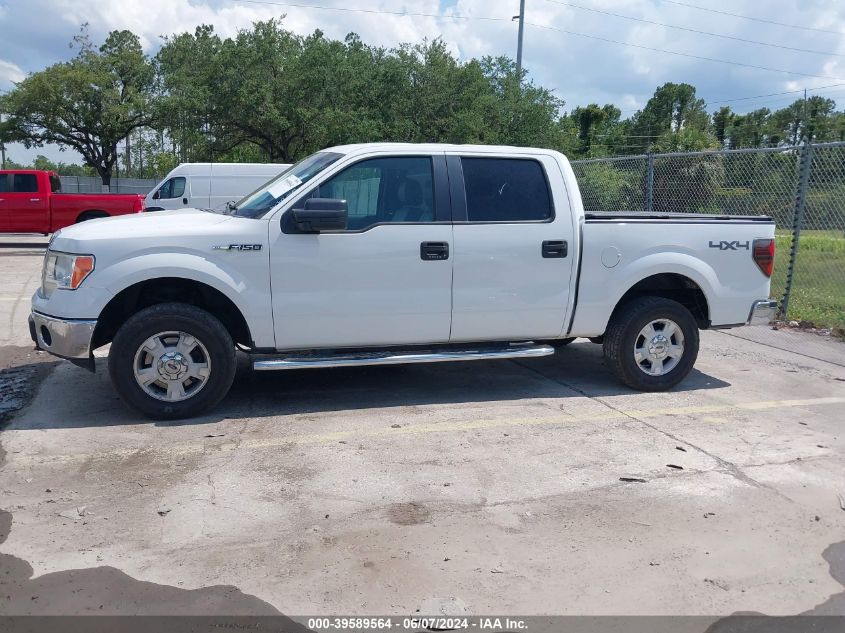 2013 Ford F-150 Xlt VIN: 1FTFW1EF9DFA32007 Lot: 39589564