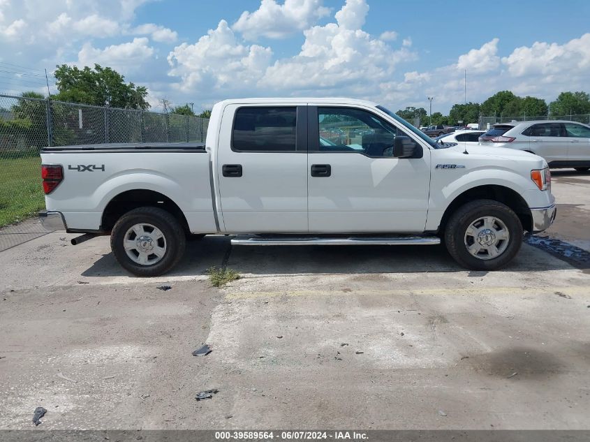 2013 Ford F-150 Xlt VIN: 1FTFW1EF9DFA32007 Lot: 39589564