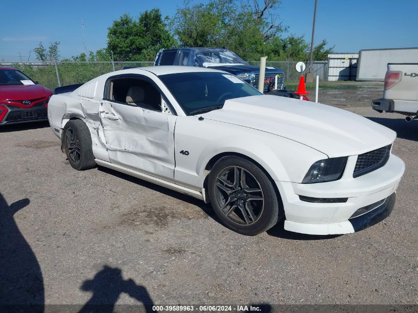 2005 Ford Mustang V6 Deluxe/V6 Premium VIN: 1ZVFT80N055244203 Lot: 39589963