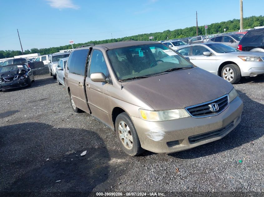 2004 Honda Odyssey Ex VIN: 5FNRL18834B092887 Lot: 39590286