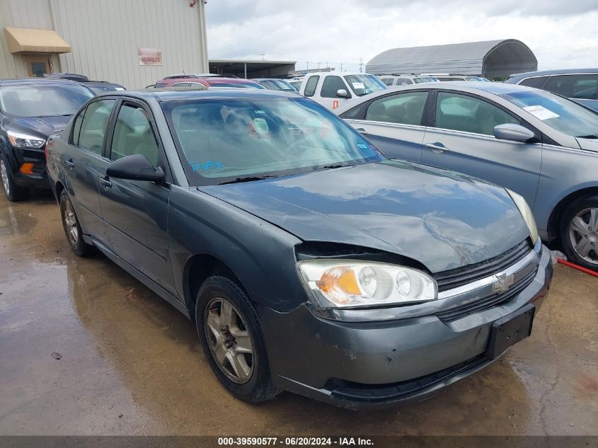 2005 Chevrolet Malibu Ls VIN: 1G1ZT54845F173142 Lot: 39590577