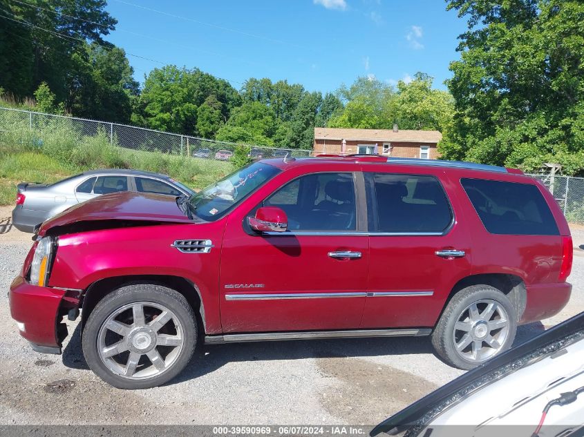 2010 Cadillac Escalade Premium VIN: 1GYUKCEF8AR186145 Lot: 39590969