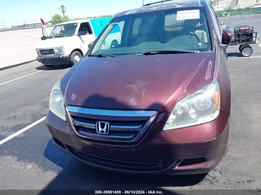 2007 Honda Odyssey Ex-L VIN: 5FNRL38717B405460 Lot: 39591408