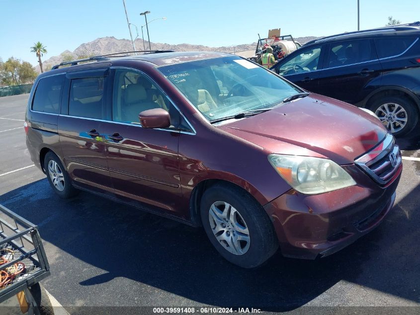 2007 Honda Odyssey Ex-L VIN: 5FNRL38717B405460 Lot: 39591408