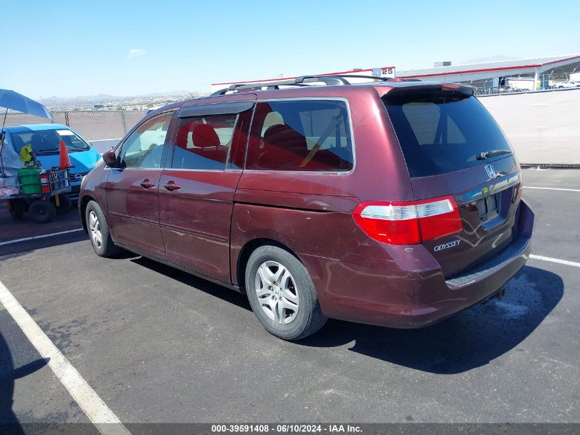 2007 Honda Odyssey Ex-L VIN: 5FNRL38717B405460 Lot: 39591408