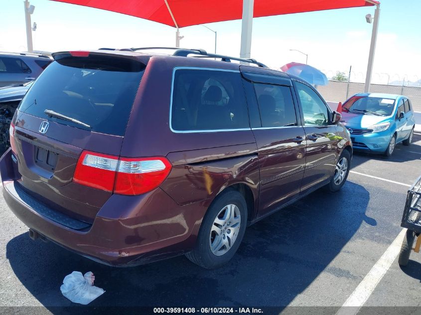 2007 Honda Odyssey Ex-L VIN: 5FNRL38717B405460 Lot: 39591408