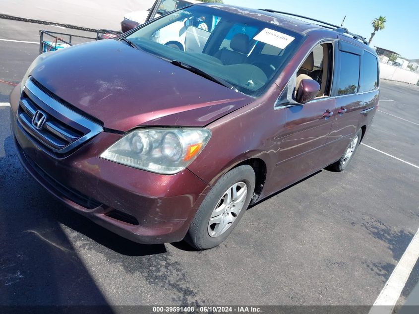 2007 Honda Odyssey Ex-L VIN: 5FNRL38717B405460 Lot: 39591408