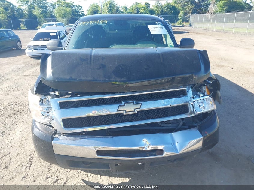 2010 Chevrolet Silverado 1500 Work Truck VIN: 1GCSKPEAXAZ186043 Lot: 39591489