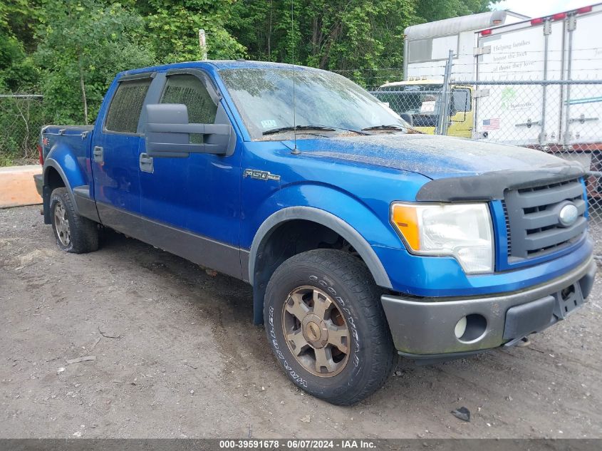 2009 Ford F-150 Fx4/Xlt VIN: 1FTPW04V89KA70124 Lot: 39591678