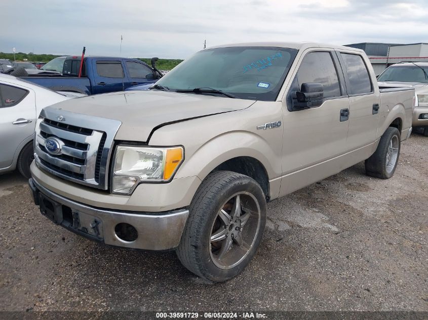 2010 Ford F-150 VIN: 1FTEW1C81AFD86955 Lot: 39591729