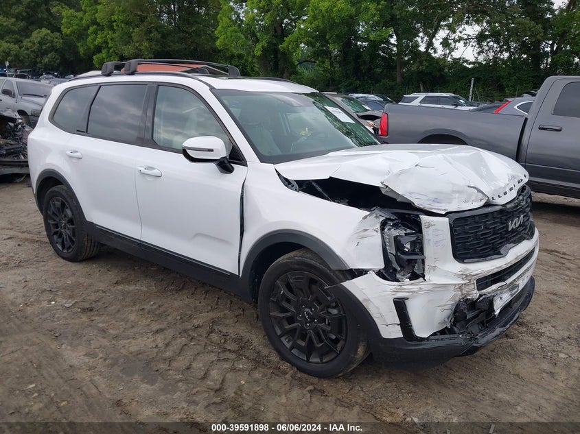 2022 Kia Telluride Sx VIN: 5XYP5DHC4NG289097 Lot: 39591898