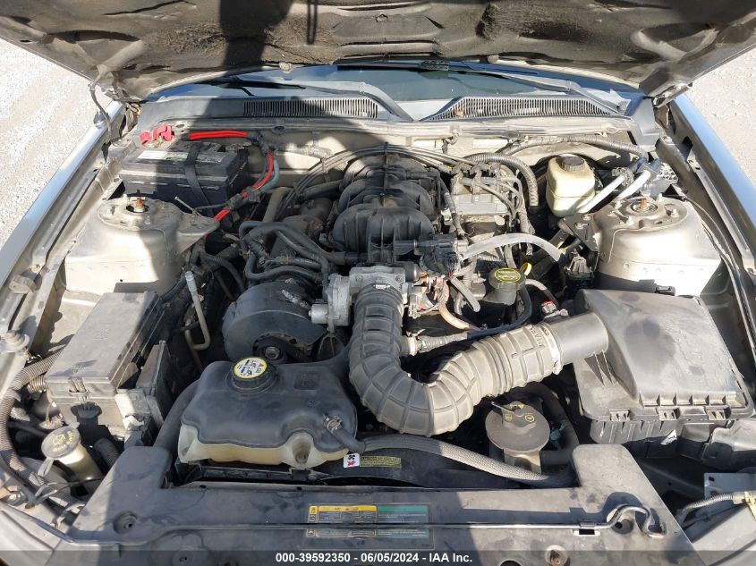 2005 Ford Mustang V6 Deluxe/V6 Premium VIN: 1ZVFT80N855125198 Lot: 39592350