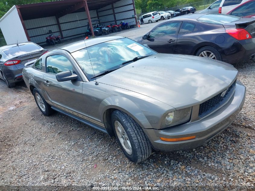 2005 Ford Mustang V6 Deluxe/V6 Premium VIN: 1ZVFT80N855125198 Lot: 39592350