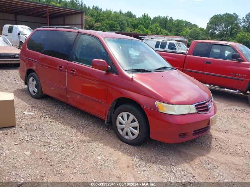 2004 Honda Odyssey Ex-L VIN: 5FNRL18704B029169 Lot: 39592941