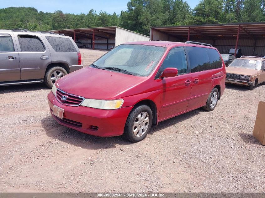 2004 Honda Odyssey Ex-L VIN: 5FNRL18704B029169 Lot: 39592941