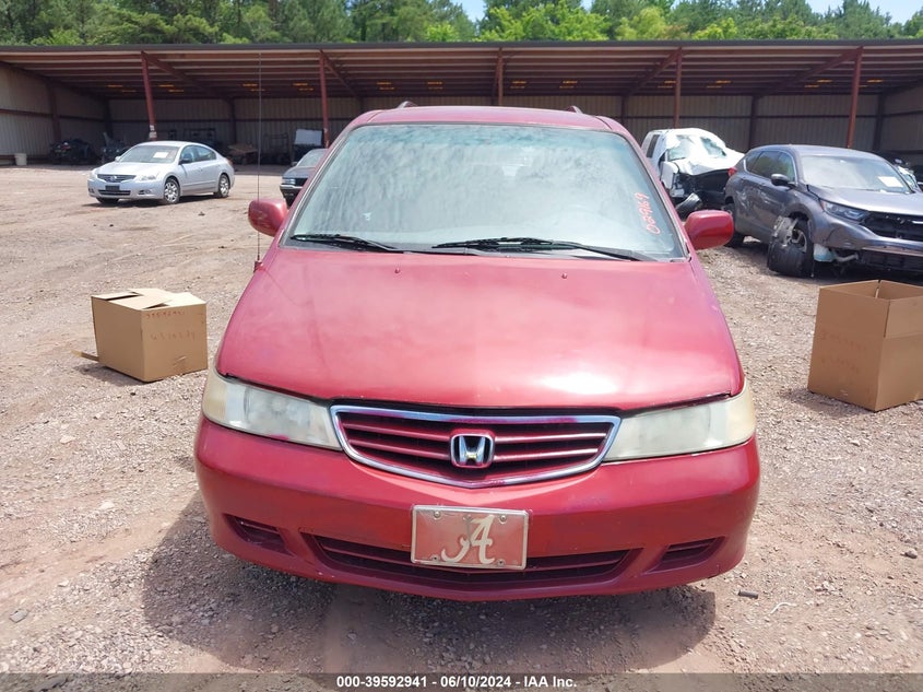 2004 Honda Odyssey Ex-L VIN: 5FNRL18704B029169 Lot: 39592941