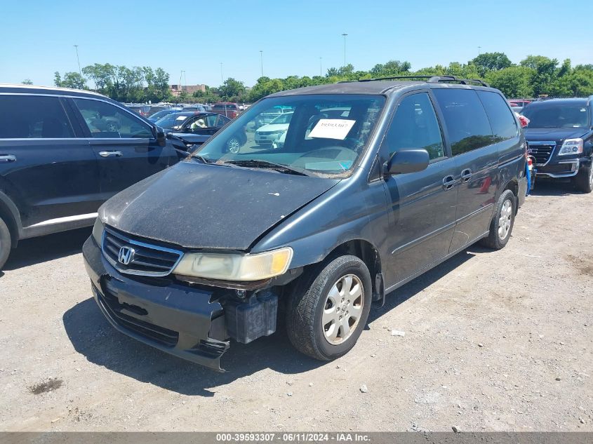 2003 Honda Odyssey Ex-L VIN: 5FNRL18903B017863 Lot: 39593307