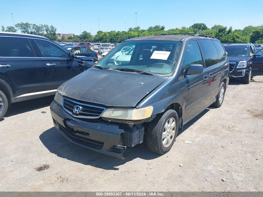 2003 Honda Odyssey Ex-L VIN: 5FNRL18903B017863 Lot: 39593307