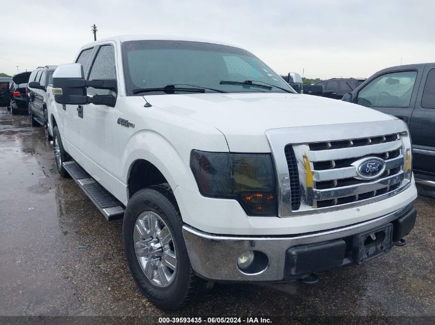 2012 Ford F-150 Xlt VIN: 1FTFW1EF8CFB86903 Lot: 39593435