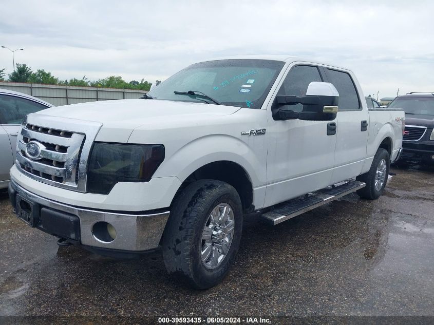 2012 Ford F-150 Xlt VIN: 1FTFW1EF8CFB86903 Lot: 39593435