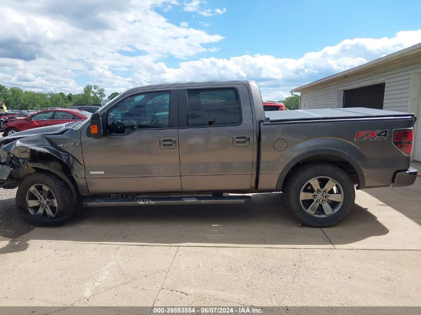 2013 Ford F-150 Fx4 VIN: 1FTFW1ET8DKD78563 Lot: 39593554