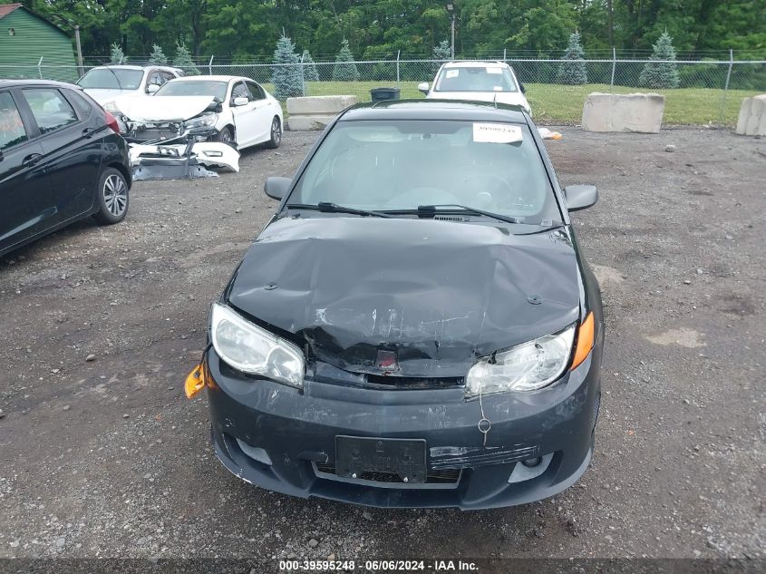 2006 Saturn Ion Red Line VIN: 1G8AY14P26Z160325 Lot: 39595248