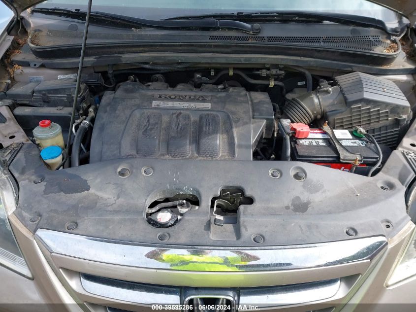 2007 Honda Odyssey Ex-L VIN: 5FNRL38647B438055 Lot: 39595286