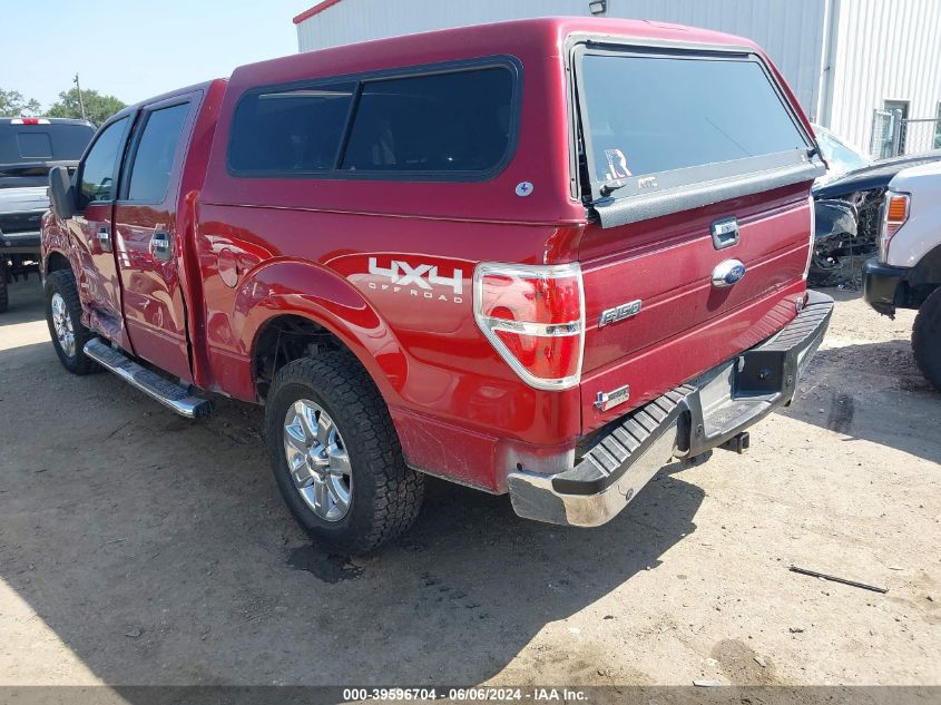 2013 Ford F-150 Xlt VIN: 1FTFW1ETXDKG48523 Lot: 39596704