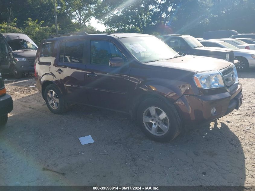 2010 Honda Pilot Ex-L VIN: 5FNYF4H51AB005509 Lot: 39598914